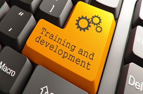 Skill Development