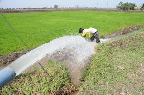 Water in agriculture